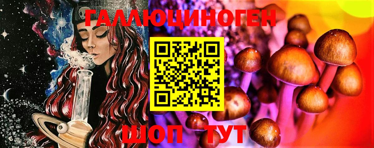 Альметьевск  даркнет сайт  Вход с VPN  Галлюциногенные грибы Cubensis 